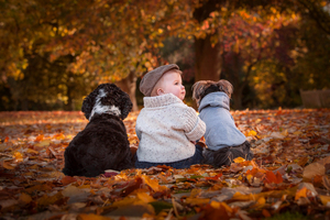 One boy and his dogs! By Photographer Christine Lynne Burke who is based in Bishops Tachbrook near Leamington Spa